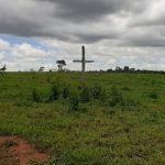 Cruz de Dom Rodrigo Castel Blanco